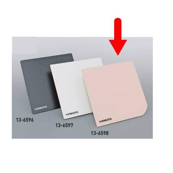 ɓY@ ~pe  TN 295×297mm 13-6598