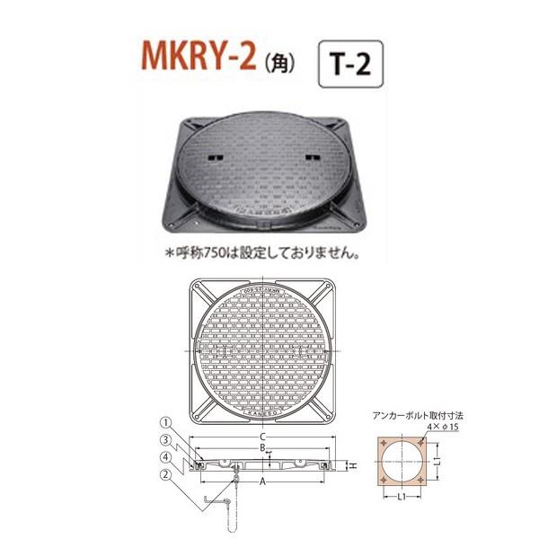 Jl\E }z[Enhz[SW ȈՖ`iȈՖhEhL`j]bN pg MKRY-2ipj 600 a Ȃ T-2