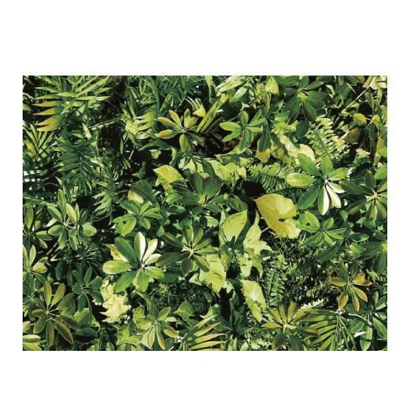 aOrA \Ă͂ fR^CV[g DGT-08 EH[O[ 25cm×100cm 221093