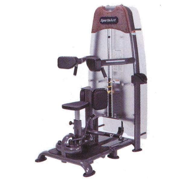 トーソ【横腹】（Sports Art） トーソ【横腹】（Sports Art）