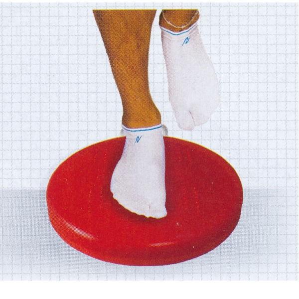 ニシ・スポーツ バランスディスク2 NT5875 : イーヅカ - 通販 - Yahoo