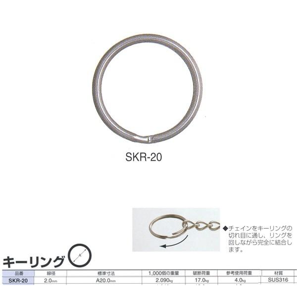 �j�b�T�`�F�[�� �X�e�����X �L�[�����O SKR20 ���a2.0mm 100��