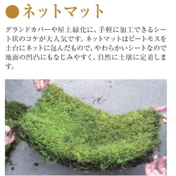 ネットマット ヒノキ苔 He6 Tkhn Buyee Buyee Japanischer Proxy Service Kaufen Sie Aus Japan