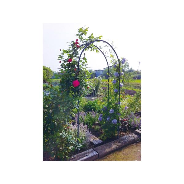 I[Nu K[fA[`V[Y R-N^ JB3-35601