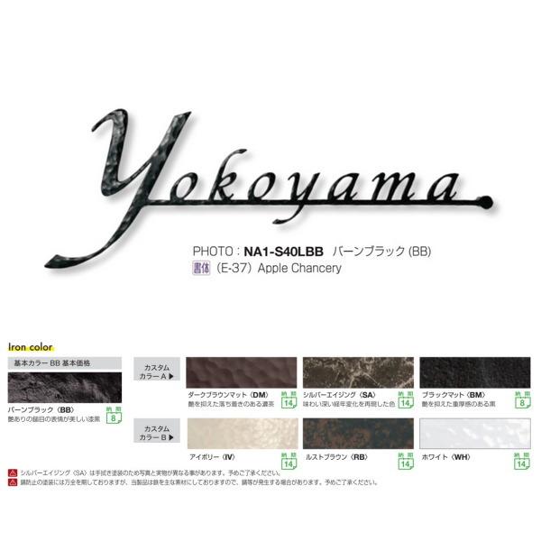 I[Nu tHXgqYl[v[g N[eCXg S40 STCY o[ubN NA1-S40SBB