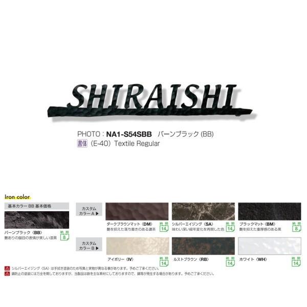 I[Nu tHXgqYl[v[g N[eCXg S54 STCY o[ubN NA1-S54SBB