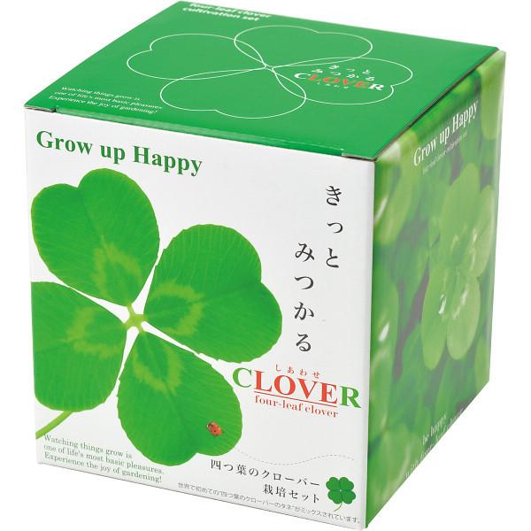 四つ葉のクローバー栽培セット Gd 592 Sd イーヅカ 通販 Yahoo ショッピング