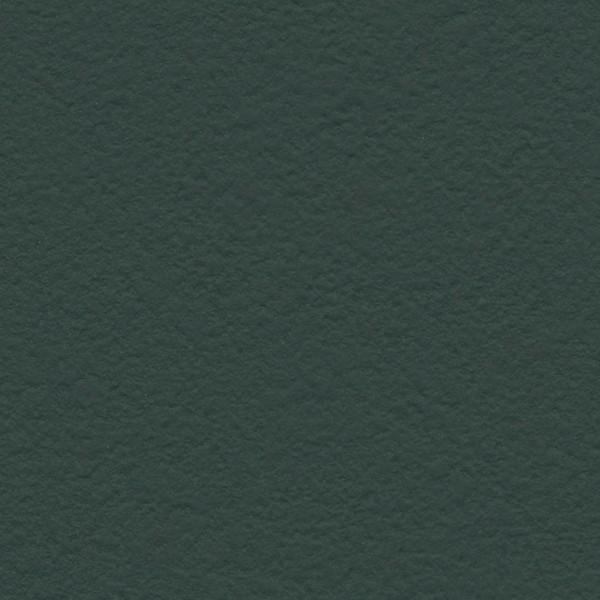 サンゲツ（SANGETSU） 壁紙 Daily palette もみの木 RE55063 1m長 糊