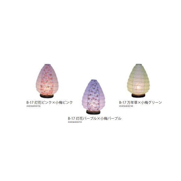 ʌfUC aƖ e[uv B-17 dt