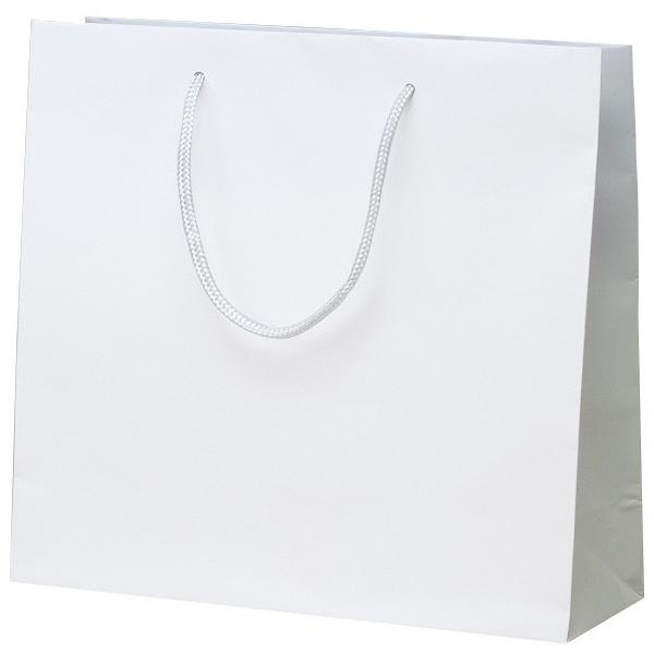  񂰑 383876 }bgEzCg M 320×110×300 50