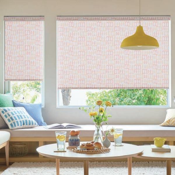 タチカワブラインド タチカワ ロールスクリーン ラルクシールド ピカロ