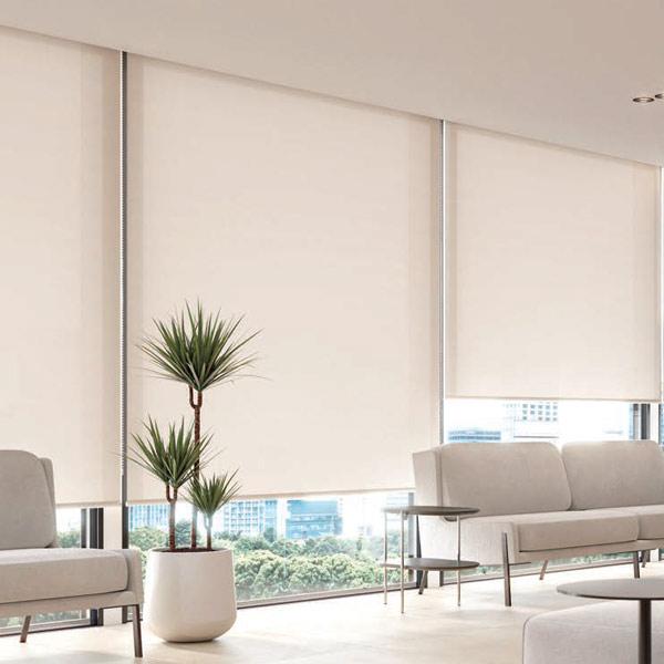 タチカワブラインド タチカワ ロールスクリーン ラルクシールド ミスト