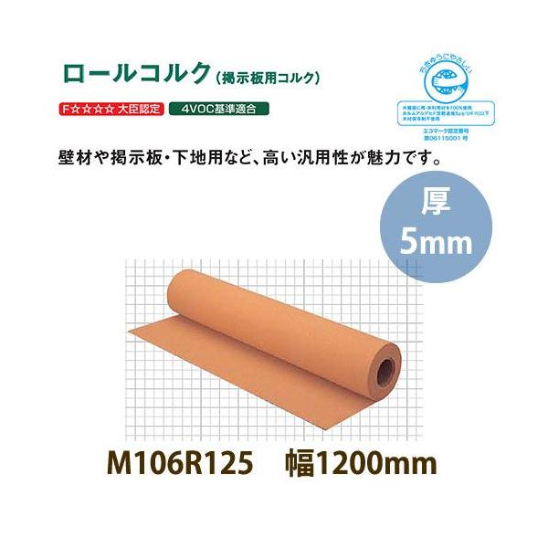 RN gbp[RN Ǘp fpRN [RN h M106R125 1200×5mm 10cmP