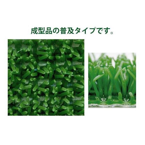 TORAY（東レ） 東レアムテックス 人工芝 芝王 ME ロール販売 幅1m 厚 