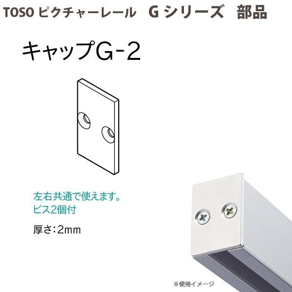 TOSO（トーソー） ピクチャーレール部品 キャップG-2 ネジ止め式：横 1