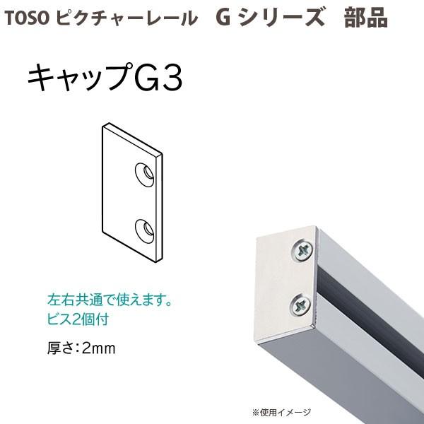 TOSO（トーソー） ピクチャーレール部品 キャップG-3 ネジ止め式：横 1