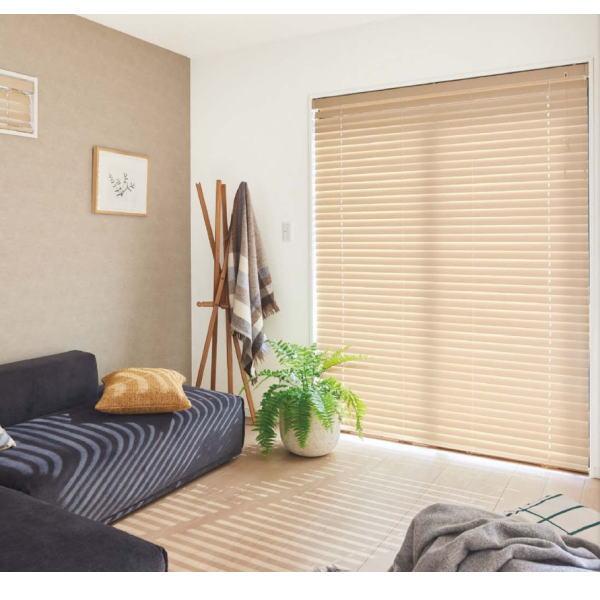 TOSO トーソー ウッドブラインド コルト ベネウッド50 ループコード