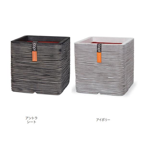 g[V v^[ lC`[ u XNGA CTN-KOFiZEIj902 C|[g Ȃ STCY 300×H300mm