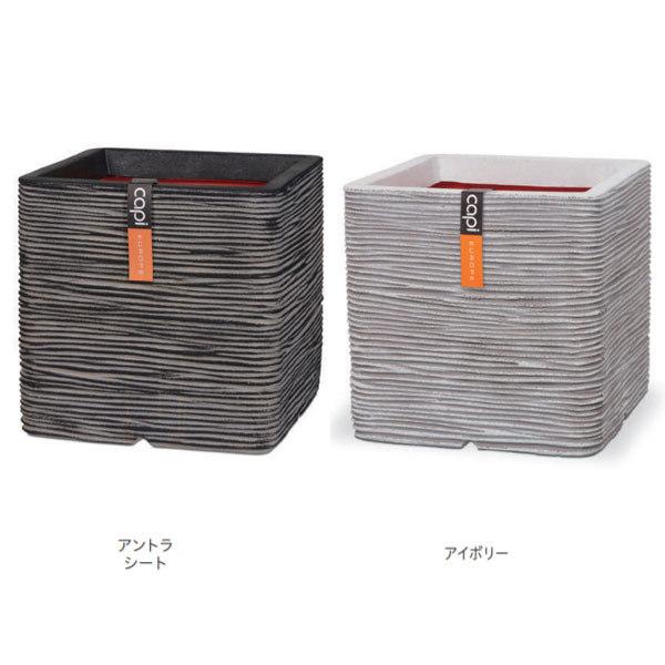 g[V v^[ lC`[ u XNGA CTN-KOFiZEIj903 C|[g Ȃ MTCY 400×H400mm