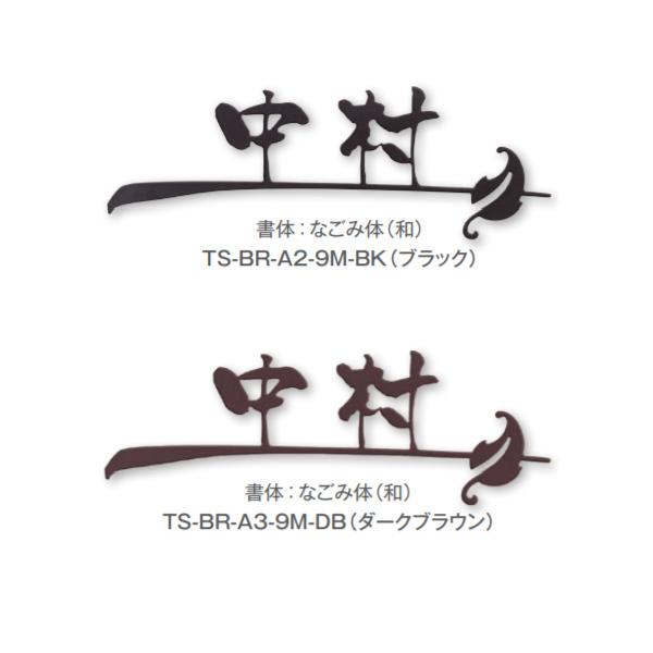 g[V \D XeXACATC TS-BR-A-9M-