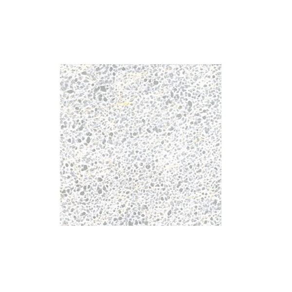 [v[g 藎 KV104 1mm 930×1850mm 1 hFi