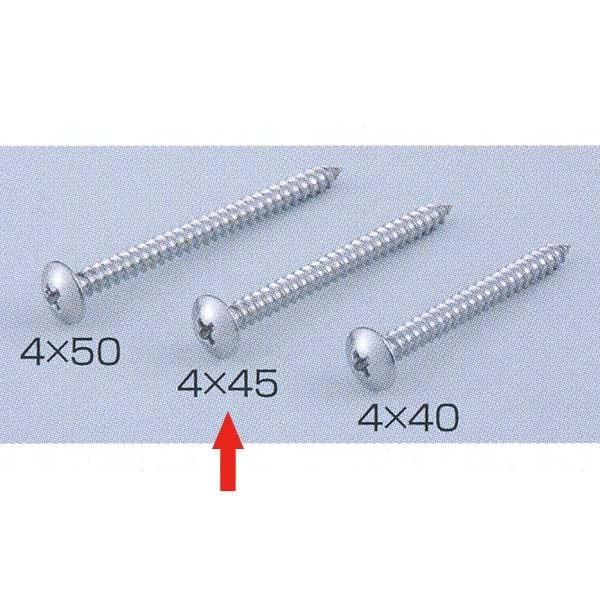 VN} ǂł肷 ǂł肷pŒlW XeX AgX4×45 FS-20 1i100{j