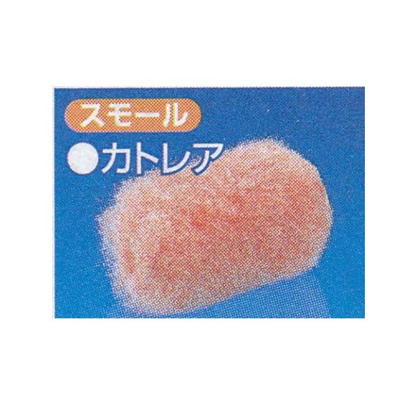 DY X[[[ JgA я10mm TCY2C` 022432