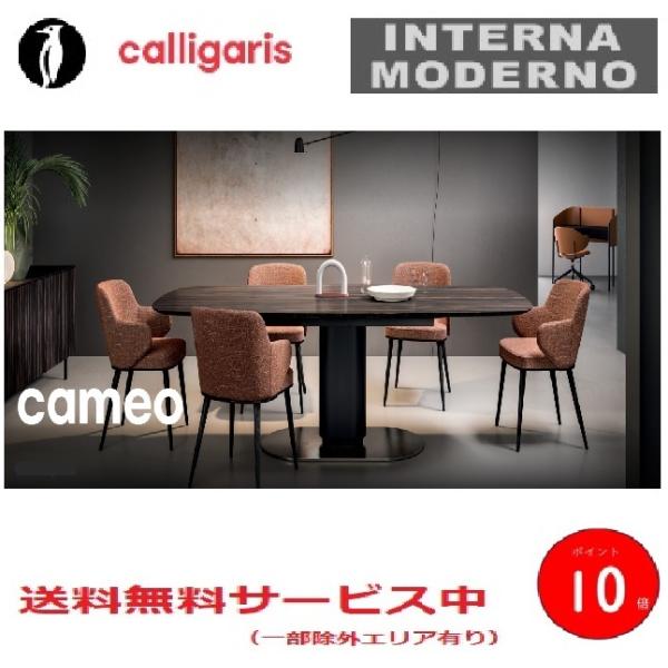 カリガリス カメオ CS-4124-FS250 楕円形ダイニングテーブル