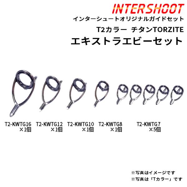Fuji エキストラヘビーガイドセットKWタイプ チタンTORZITE T2-KWTG169