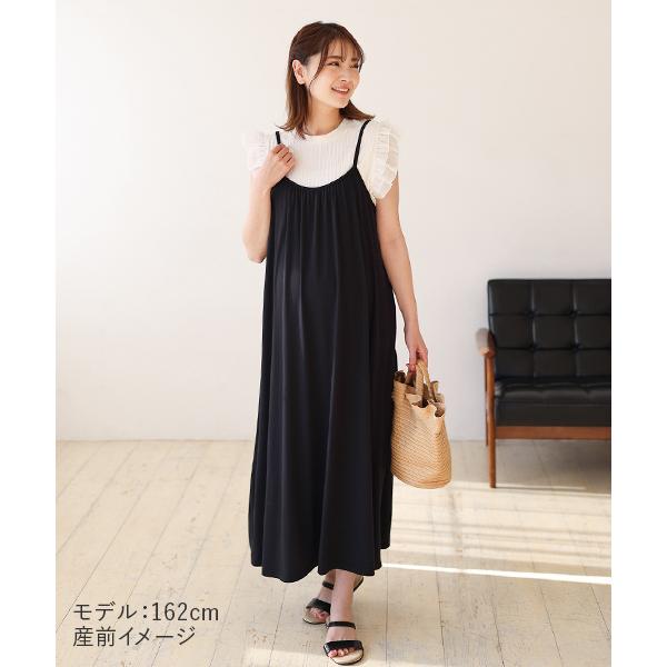 inujirushi_2318528_3_d_20230328111502