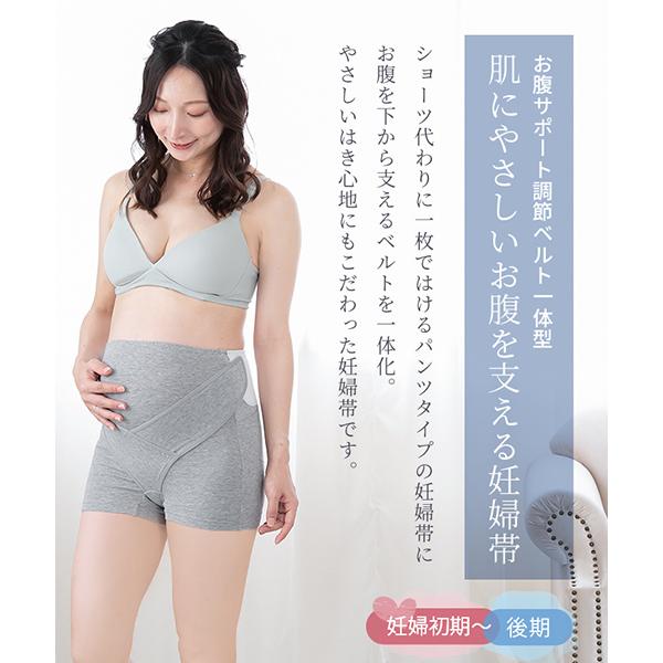 inujirushi_hb8431_1_d_20240903163149