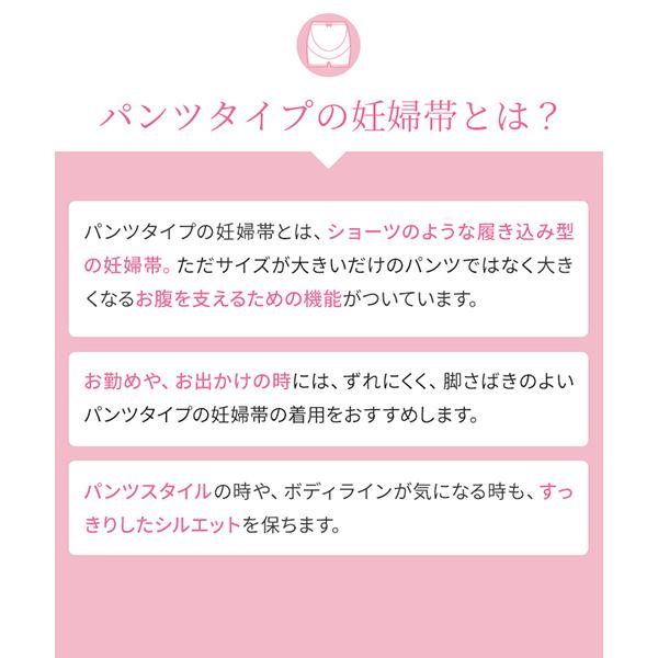 inujirushi_hb8432_4_d_20240330115537