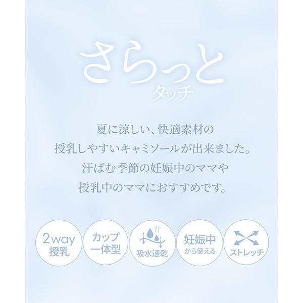 inujirushi_ts3187_1_d_20260324164754