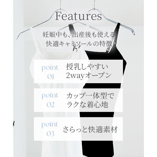 inujirushi_ts3187_2_d_20260324164755