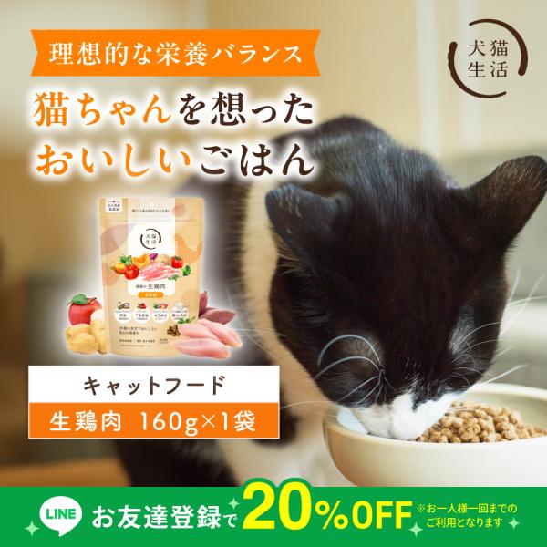 犬猫生活 キャットフード 国産 無添加 グレインフリー ドライ 猫 お試しオールステージ 生鶏肉味 総合栄養食 160g×1袋