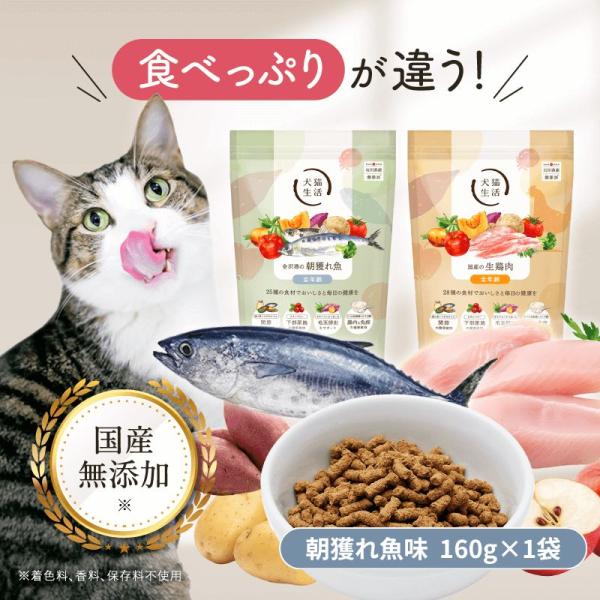 犬猫生活金沢港の朝獲れ魚:全年齢2個セット 犬猫生活 【特典付き】犬猫生活 キャットフード オールステージ