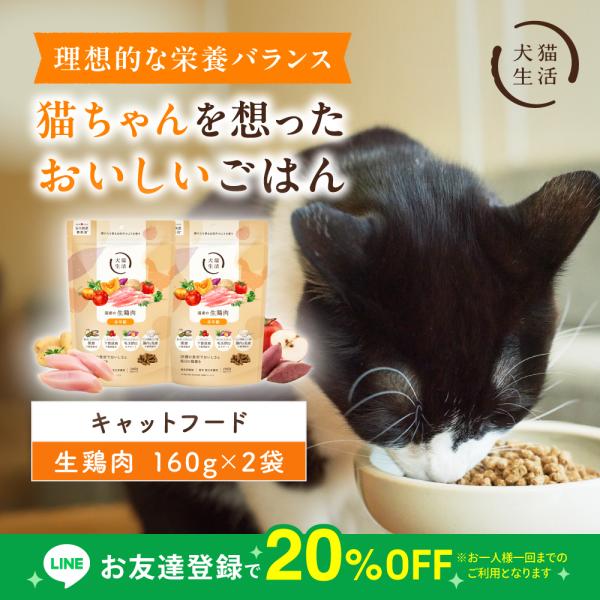 犬猫生活 キャットフード 国産 無添加 グレインフリー ドライ 猫 お試し オールステージ 生鶏肉味 総合栄養食 160g×2袋