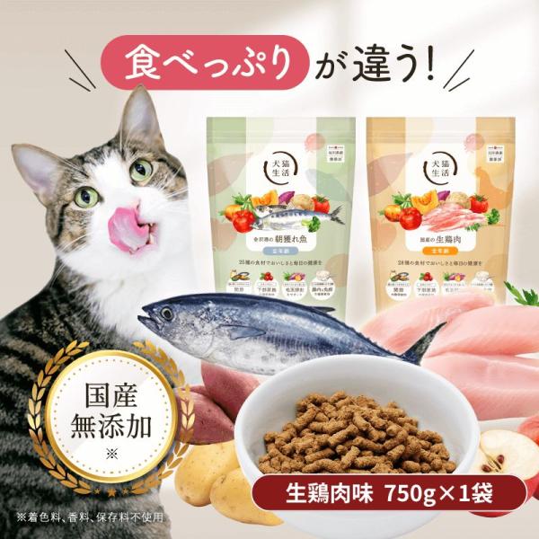 inuneko-seikatsu_cat-750all-