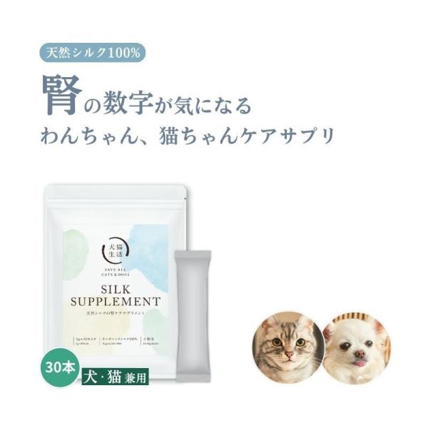 裁断済　犬と猫の輸液 診療現場ですぐ役立つ！犬と猫の輸液 | 臨床獣医学,検査・診断