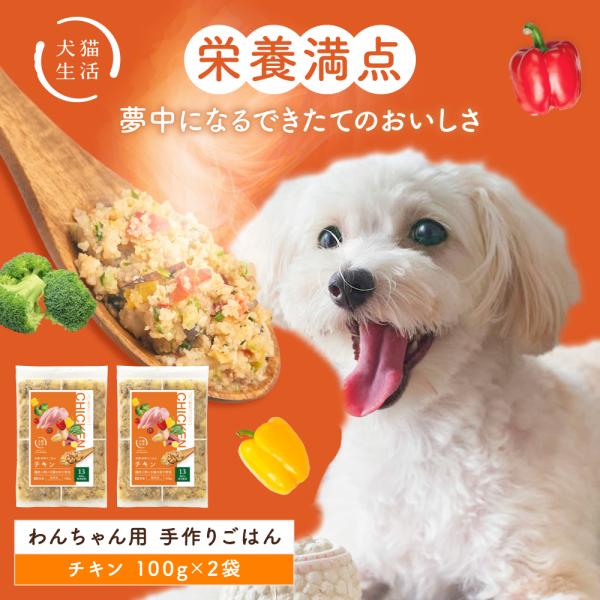 手作りごはん フラットタイプ 手作り ドッグフード ウェット グレインフリー フード 総合栄養食 国産 無添加 チキン味