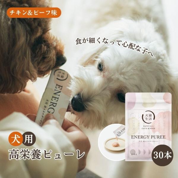 【特典付き】犬猫生活 犬用 高栄養ピューレ 国産チキン＆ビーフ味 シニア 獣医師共同開発 高齢犬 国産 無添加 低リン 低ナトリウム 12g×30本 常温便