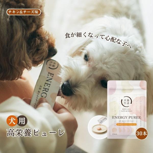 【特典付き】犬猫生活 犬用 高栄養ピューレ 国産チキン＆チーズ味 シニア 獣医師共同開発 高齢犬 国産 無添加 低リン 低ナトリウム 12g×30本 常温便
