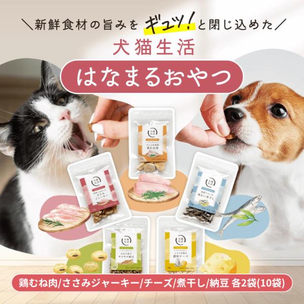 犬猫生活 犬猫兼用 フリーズドライ おやつ 全5種 10袋 国産 無添加【チーズ×2袋、鶏むね肉×2袋、納豆×2袋、ささみジャーキー×2袋、煮干し×2袋】