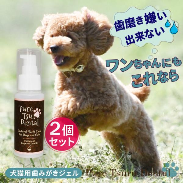 [Release date: December 27, 2023]犬 歯石除去 犬 歯磨き 犬 歯石とり 犬 デンタルケア 犬 口臭 犬 歯垢除去 犬用 歯磨きジェル 犬 歯磨き粉 猫 デンタルケア用品 猫 歯石 取れた