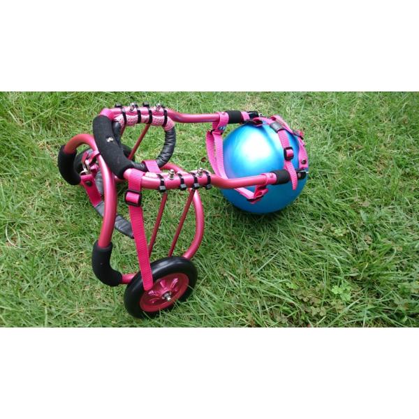 オーダーメイド超小型犬用車椅子 : 犬車椅子桜花 - 通販 - Yahoo オーダーメイド超小型犬用車椅子 : 犬車椅子桜花 - 通販 - Yahoo