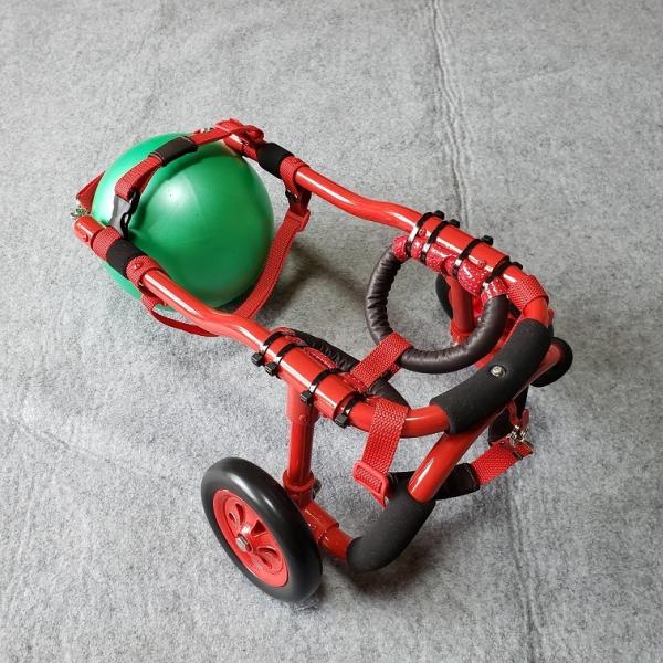 オーダーメイド小型犬用車椅子 : 犬車椅子桜花 - 通販 - Yahoo