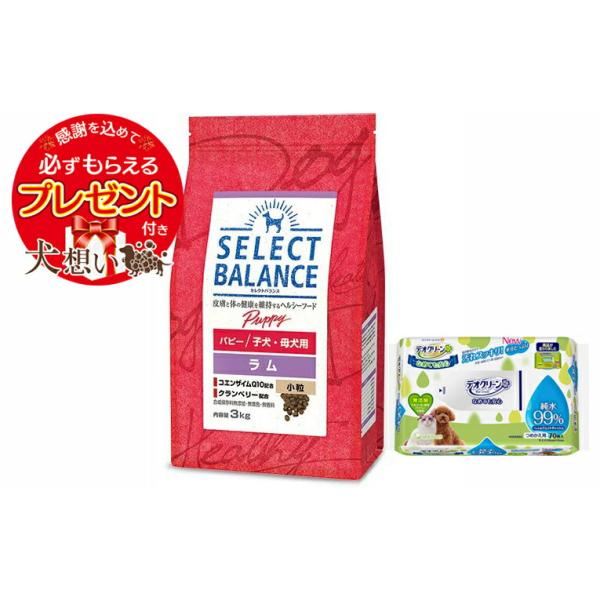 SELECT BALANCE セレクトバランス パピー ラム 小粒 子犬・母犬用 3kg