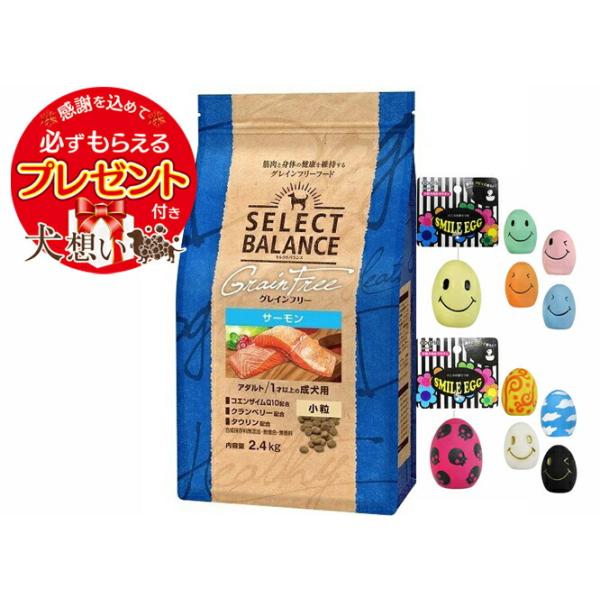 セレクトバランス グレインフリー アダルトサーモン 小粒 2.4kg