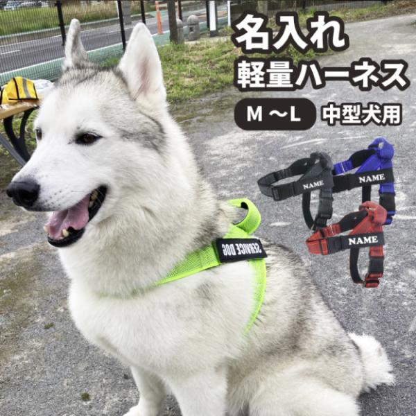 在庫限り!( 名入れ 無料 ハンドル付き 軽量 ハーネス M〜L 在庫限り!( 名入れ 無料 ハンドル付き 軽量 ハーネス M〜L