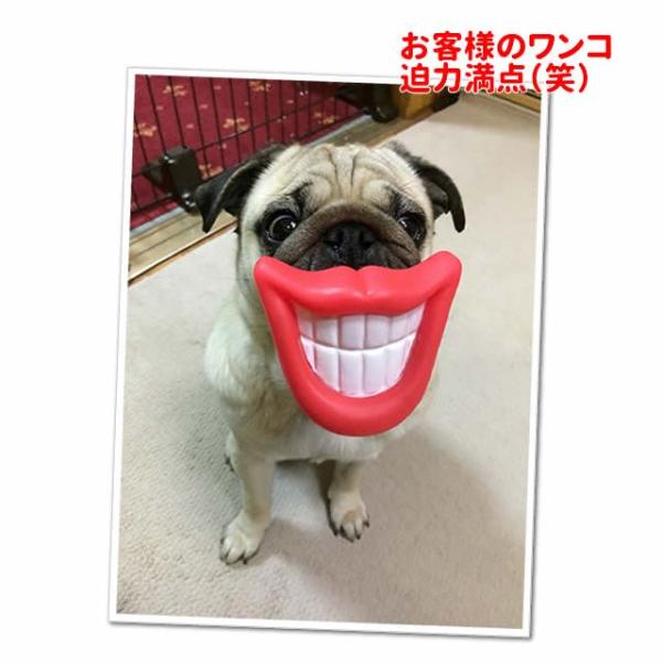 変顔 犬 おもちゃ くちびる 音が鳴るタイプ 唇 リップ Buyee Buyee 提供一站式最全面最专业现地yahoo Japan拍卖代bid代拍代购服务 Bot Online
